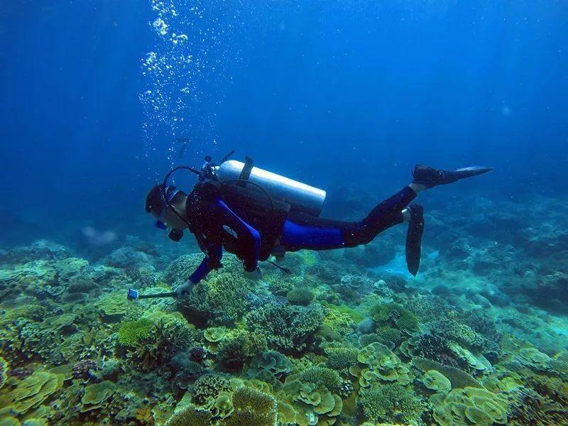 乖宝宠物：海外ODM业务快速恢复，盈利能力进一步提升